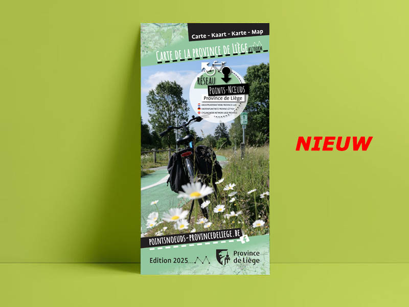 Globale kaart van het netwerk in de provincie Luik