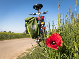 A few ideas for summer rides - © Pixabay-Thomas B A few ideas for summer rides