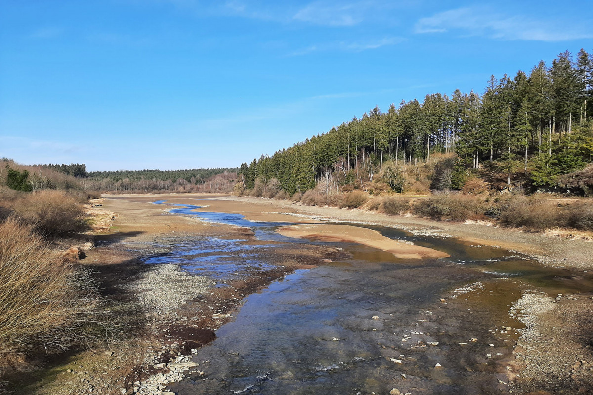 Cycling and hiking tours - Destination: Bütgenbach lake - Watercourse