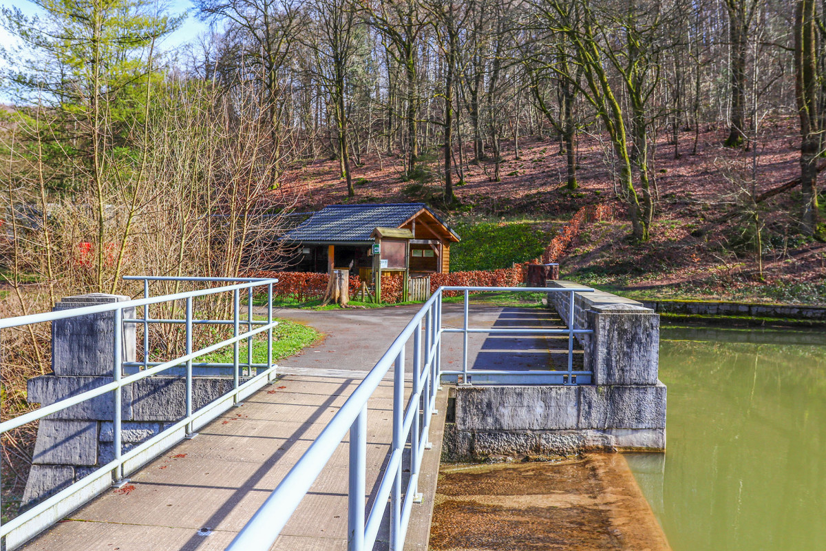 Balades en boucle - Du Dragon au Lion - Jalhay - Barrage de la Borchène