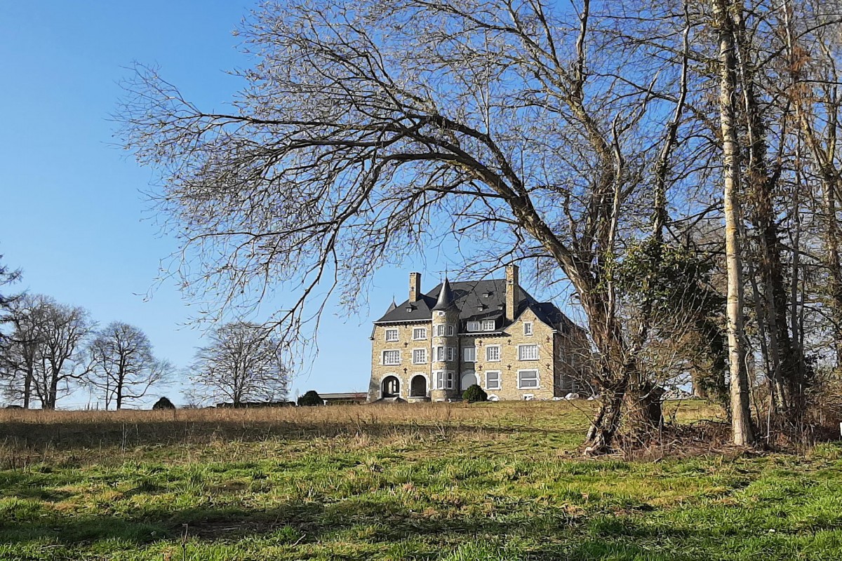 Balades en boucle - Entre Néblon et Condroz - Pair - Château