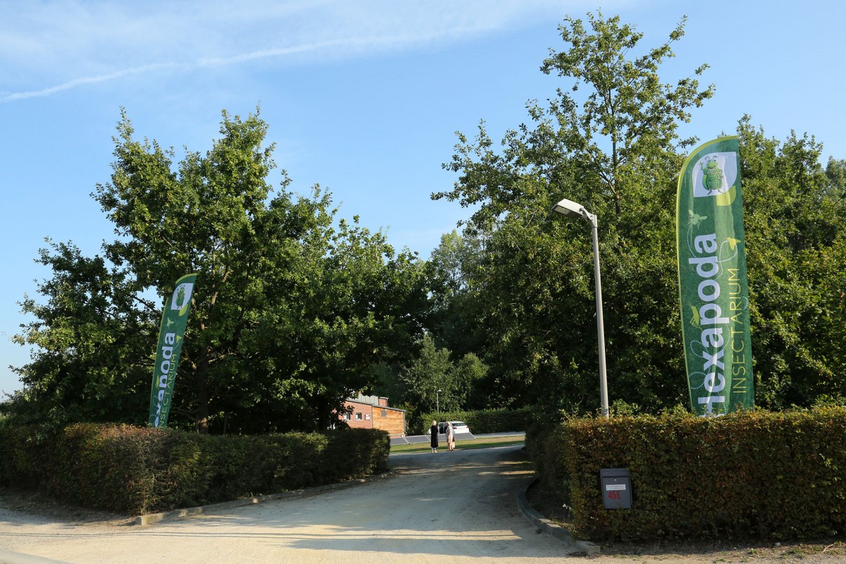 Cycling and hiking tours - Hesbaye nature - Hexapoda