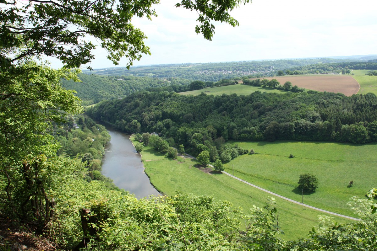 Wandel- en fietstochten - De kleine Ourthelus - Roche-aux-Faucons - Uitzicht op de Ourthe