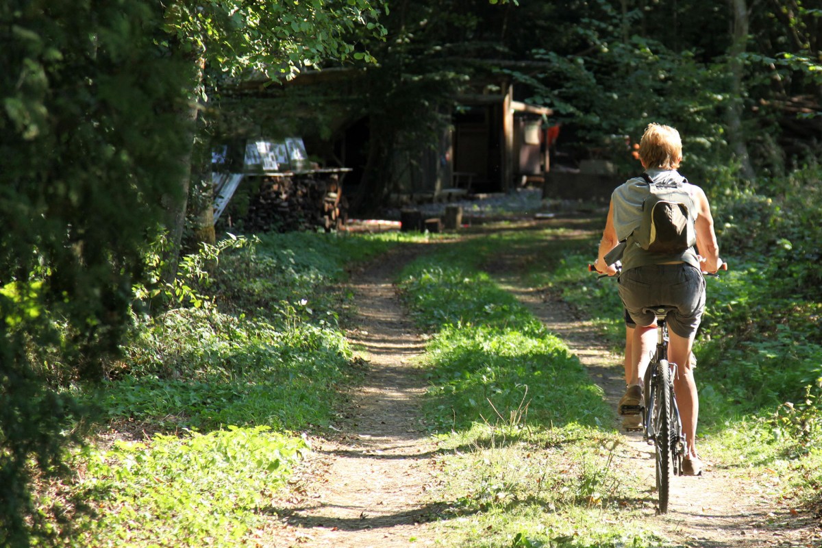 Wandel- en fietstochten - De Transferrusienne