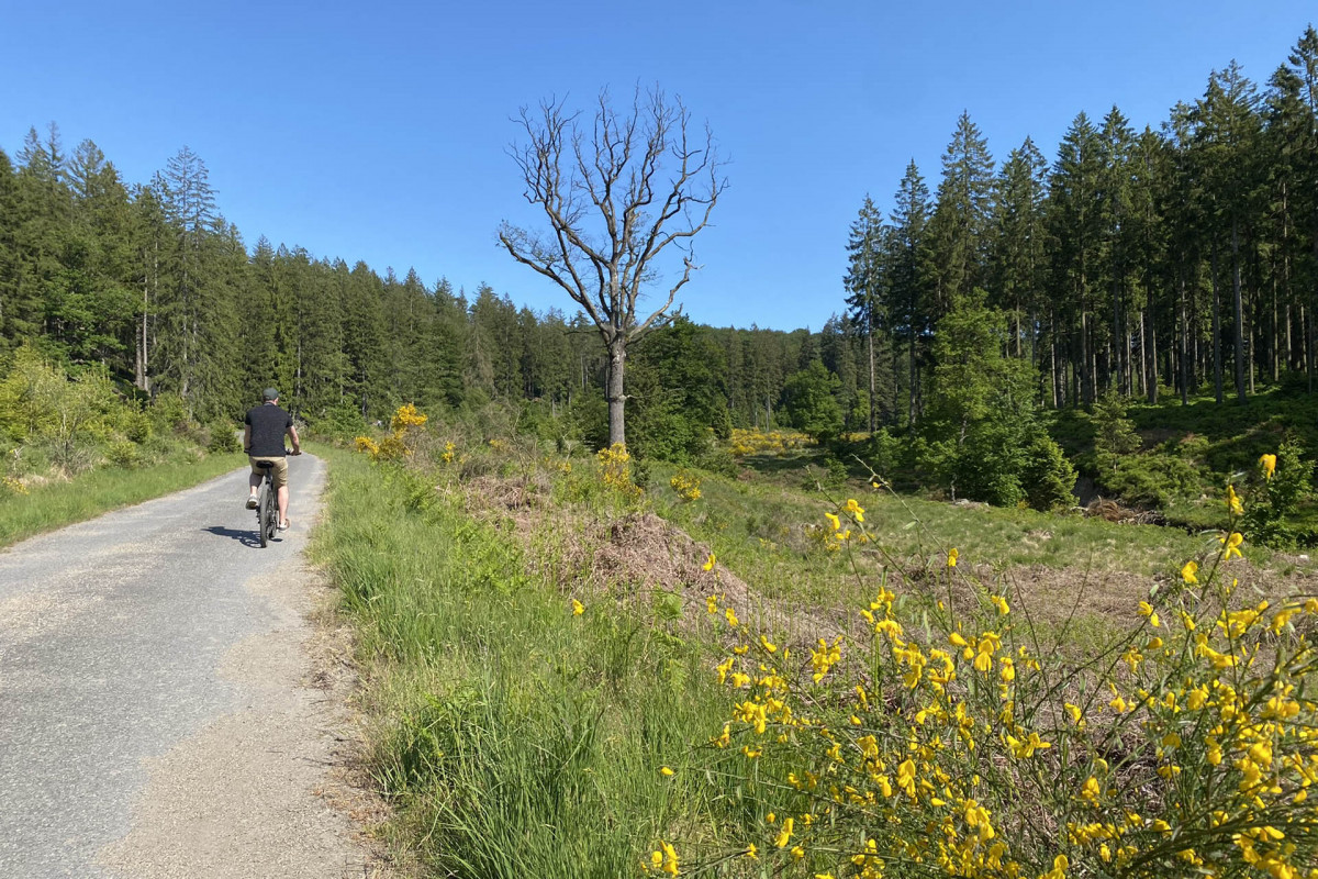 Route rond de meren in twee dagen