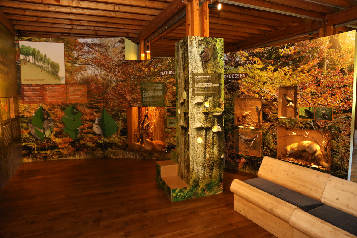 062A1186 © FTPL P.Fagnoul