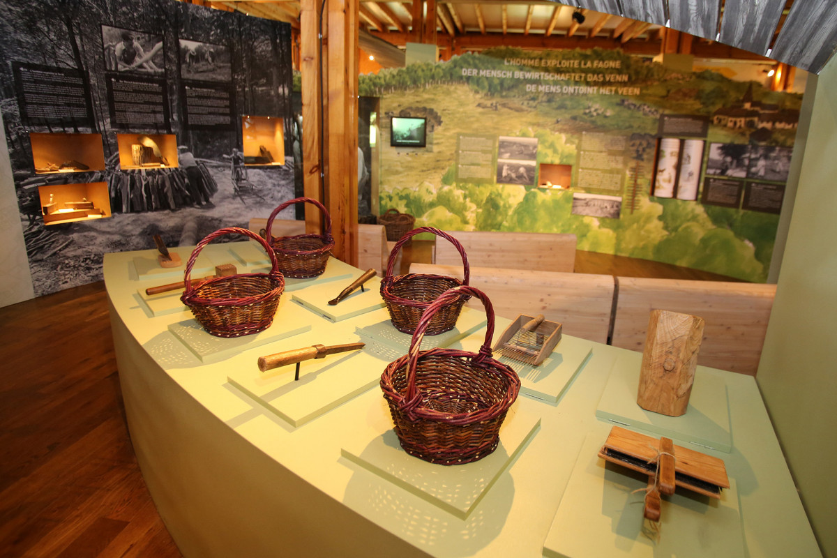 062A1230 © FTPL P.Fagnoul