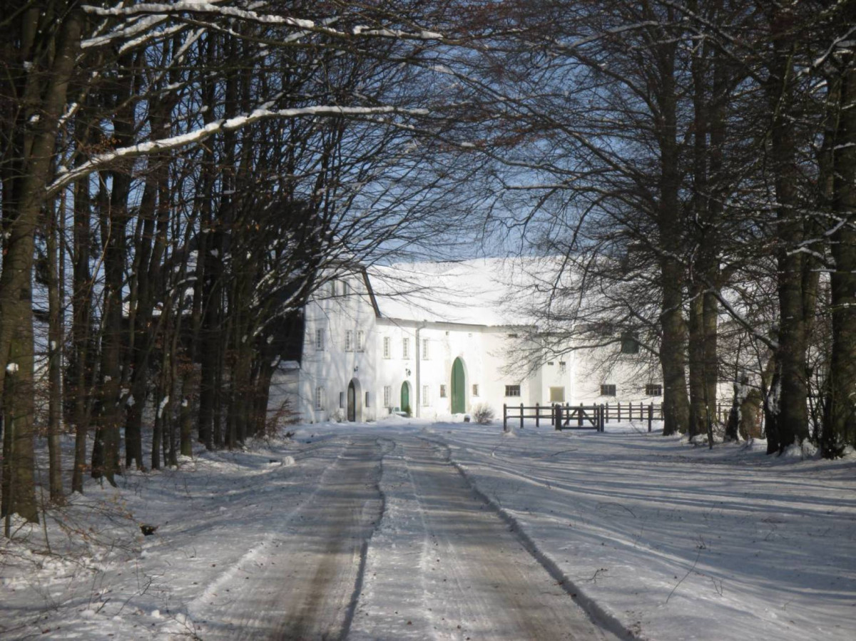 Amel b b gut eidt 02 c gut eidt Amel b b gut eidt 02 c gut eidt