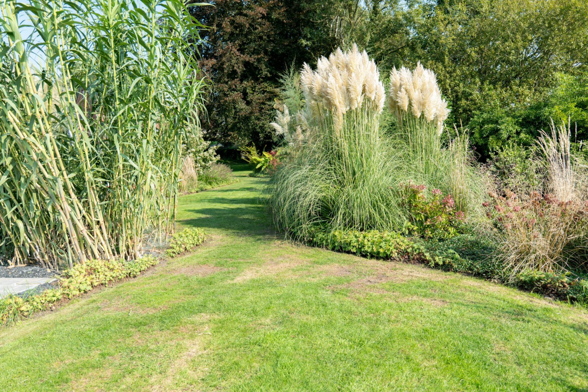 Maison d'hôtes Les jardins de la Ferme_Soumagne_jardin_03-2026 - © ©Les Jardins de la Ferme Maison d'hôtes Les jardins de la Ferme_Soumagne_jardin_03-2026