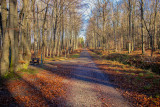 Cycling and hiking tours - Around Eupen - Eupen - Clouseweiher Pond