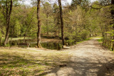 Cycling and hiking tours - Around Eupen - Eupen - Diebach Pond