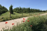 Rad- und Wandertouren - Die Basse-Meuse - Pays de Herve - Blumen und Obstgärten