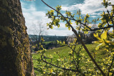 Cycling and hiking tours - La Belle Vue - Limburg - View from Polenterie