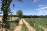 Wandel- en fietstochten - Het bos van Ommerscheider - Weg - Velden
