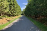 Wandel- en fietstochten - Het bos van Ommerscheider - Weg - Bos