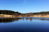 Balades en boucle - La grande boucle des Hautes Fagnes - Etang de Schwarzsee