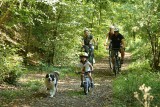 Cycling and hiking tours - The Transferrusienne