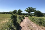 Cycling and hiking tours - On the stone road - Road - Campaigns