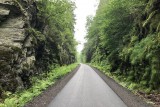 Fahrräder, Züge & Landschaften - Das Hohe Venn - Straße - Wald