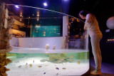 Aquarium-Muséum Liège - Lagon