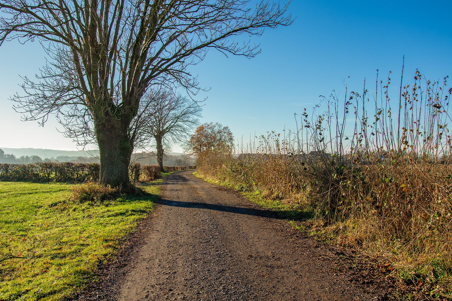 Wandel- en fietstochten - De regio Eupen - Baelen - Mazarinen - © Province de Liège Wandel- en fietstochten - De regio Eupen - Baelen - Mazarinen