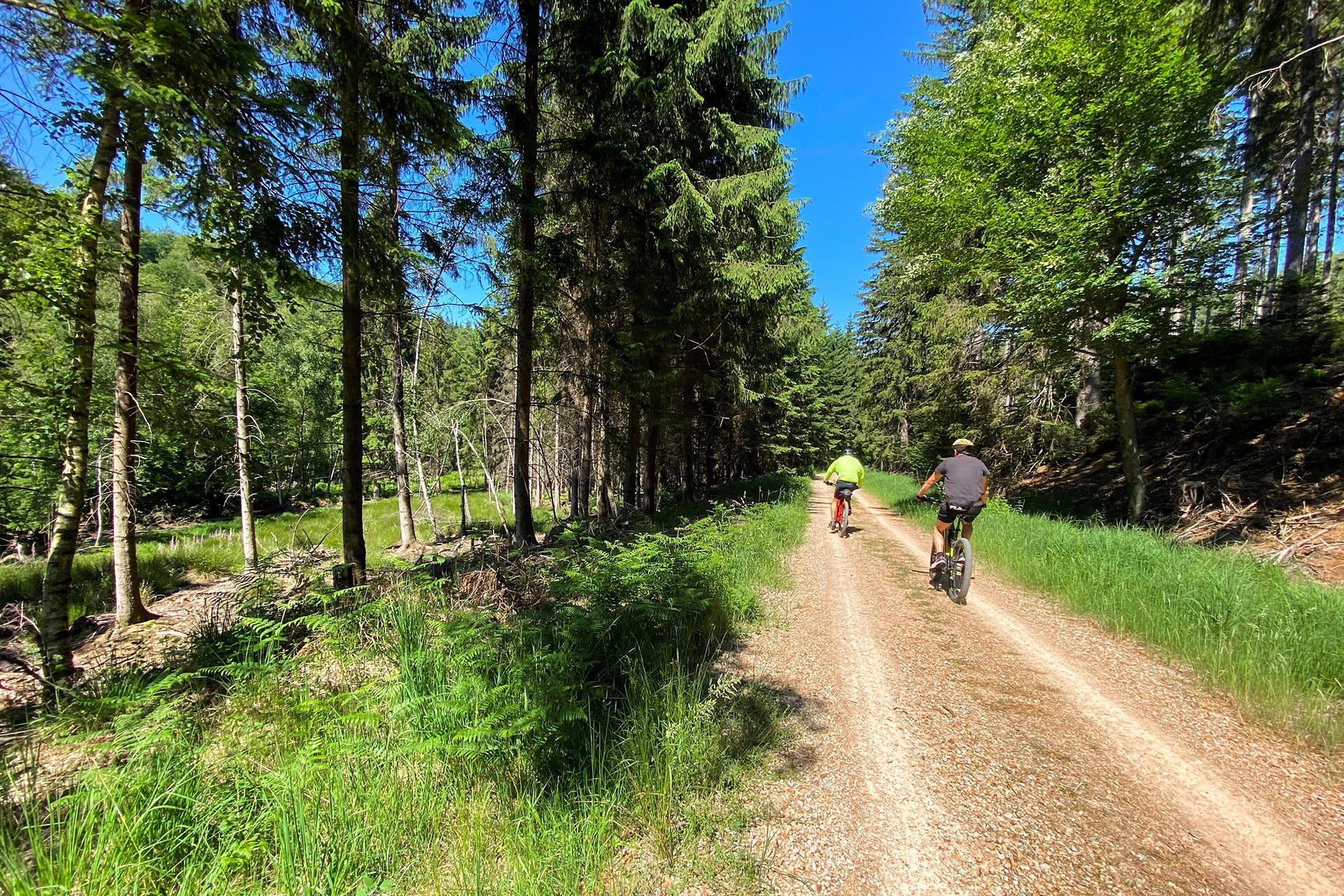 Wandel- en fietstochten - De regio Eupen - Eupen - Langs de Helle - © Province de Liège Wandel- en fietstochten - De regio Eupen - Eupen - Langs de Helle