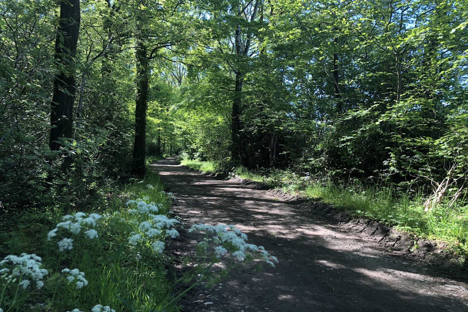 Cycling and hiking tours - On the borders of Moresnet - Bois de la Hees - © Province de Liège Cycling and hiking tours - On the borders of Moresnet - Bois de la Hees
