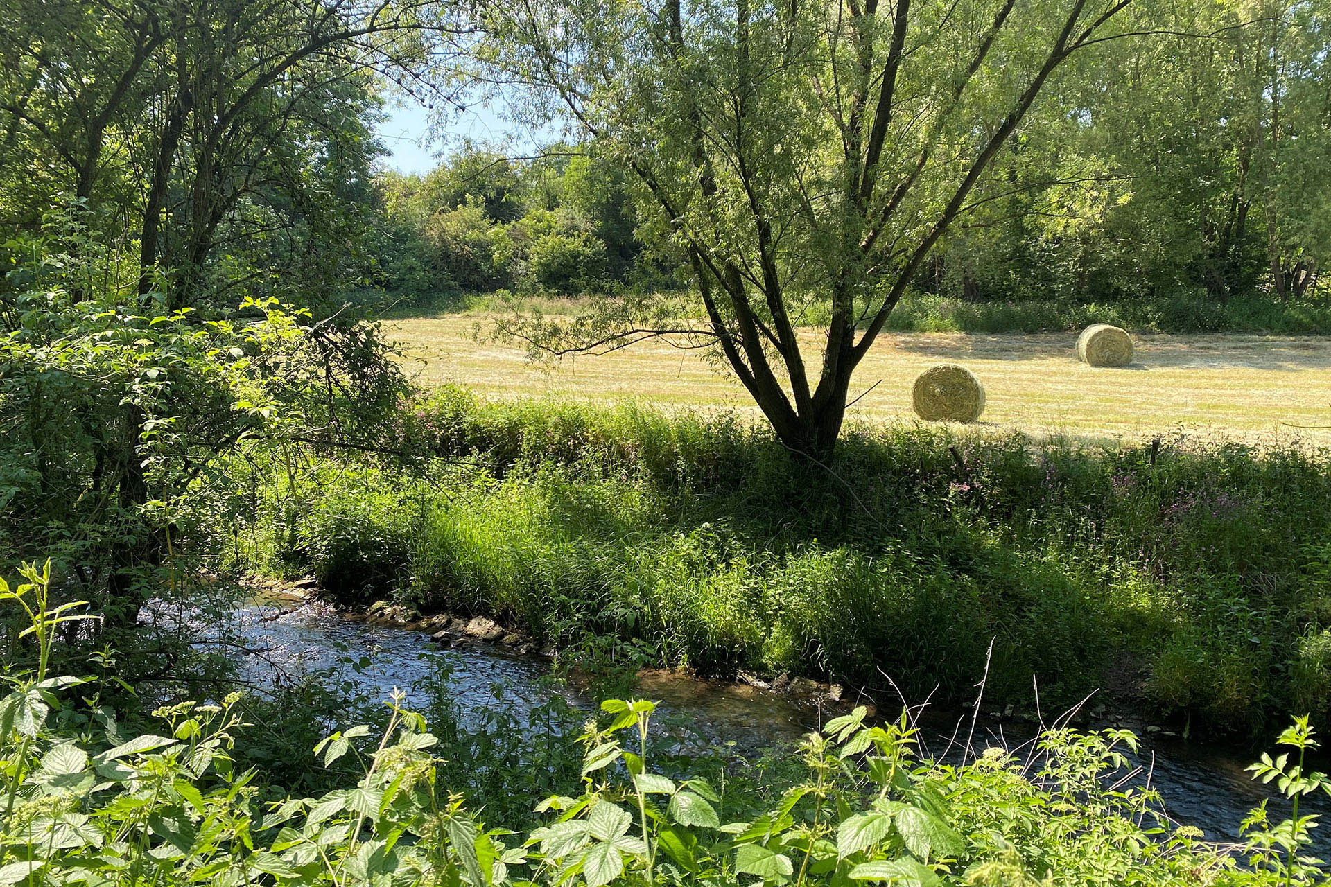 Cycling and hiking tours - Stroll of the Three Borders - The Gueule river in Plombières