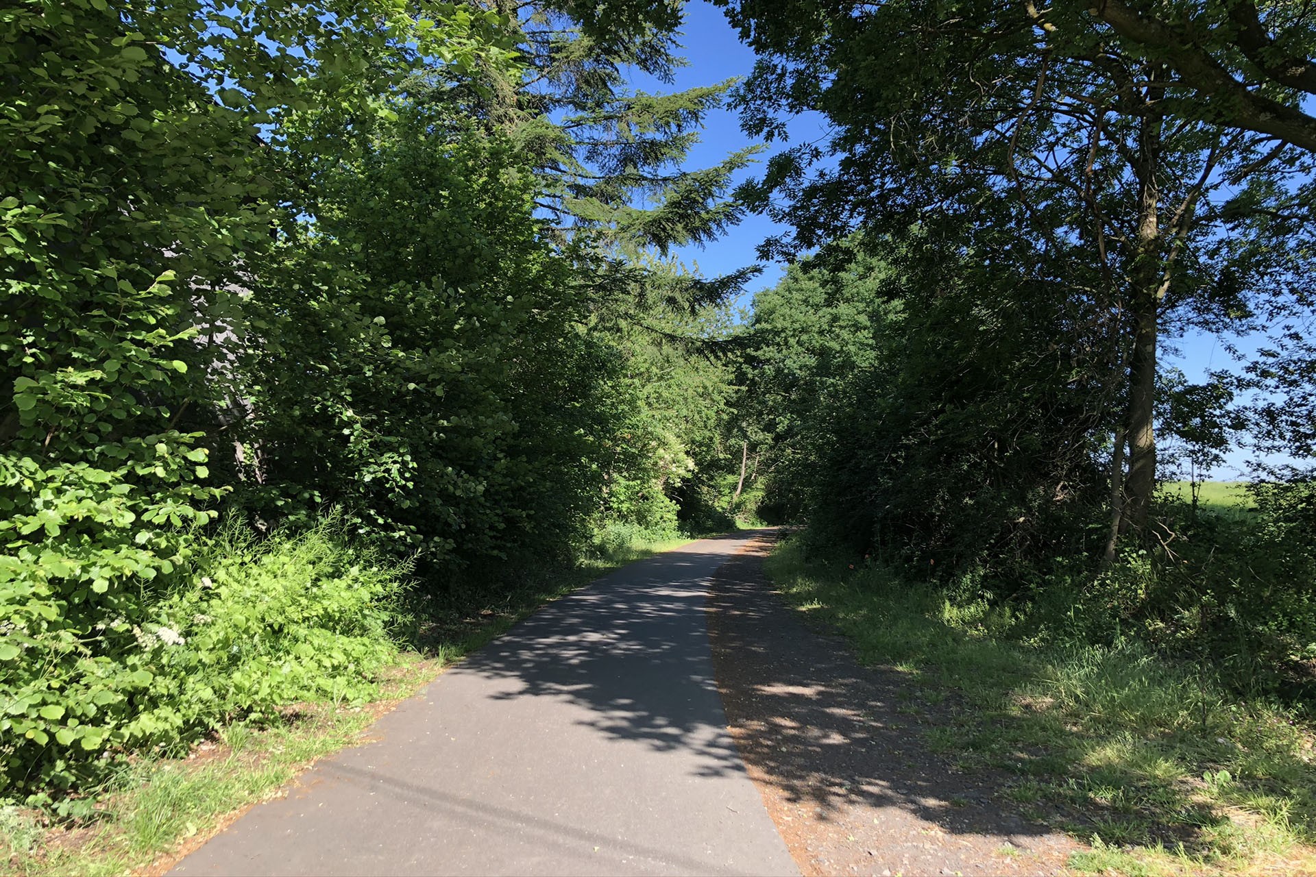 Rad- und Wandertouren - Spaziergang durch die Heckenlandschaft - Pays de Herve - Kampagnen