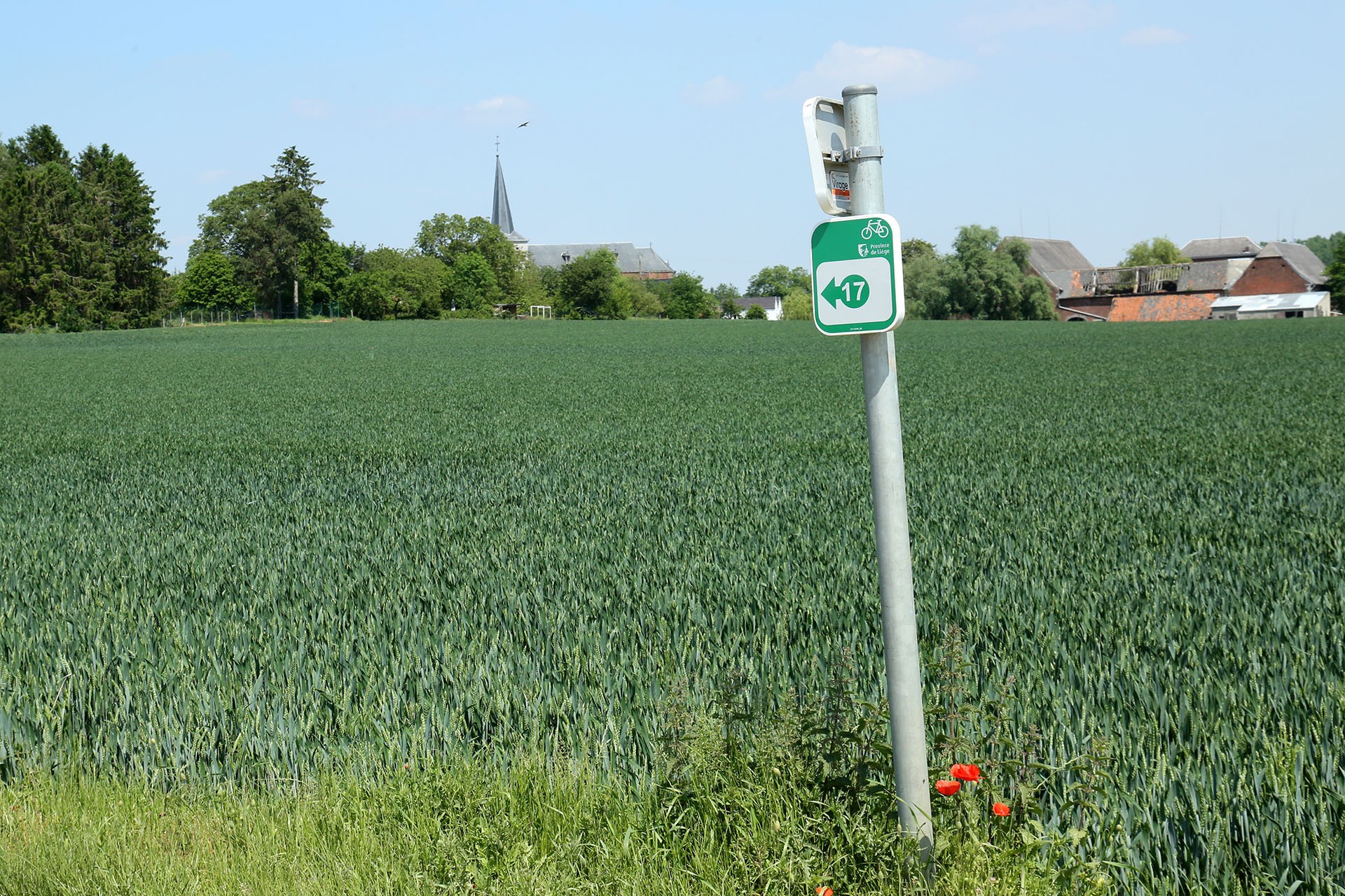 Balades en boucle - La petite boucle nature - Hesbaye - Champs