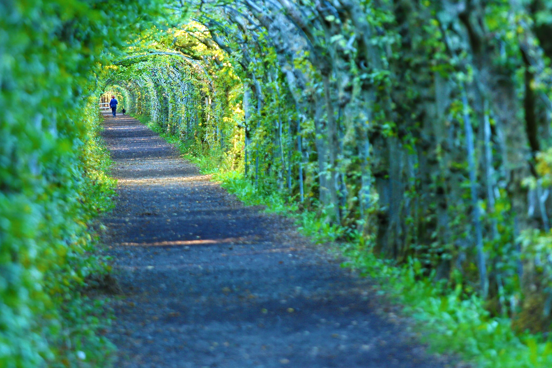 Fahrräder, Züge & Landschaften - La Vecquée - La Charmille du Haut Marêt