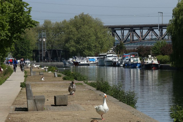 Balades en boucle - Entre Meuse et Canal - Visé - La Capitainerie - Bord de Meuse | © FTPL-Patrice Fagnoul