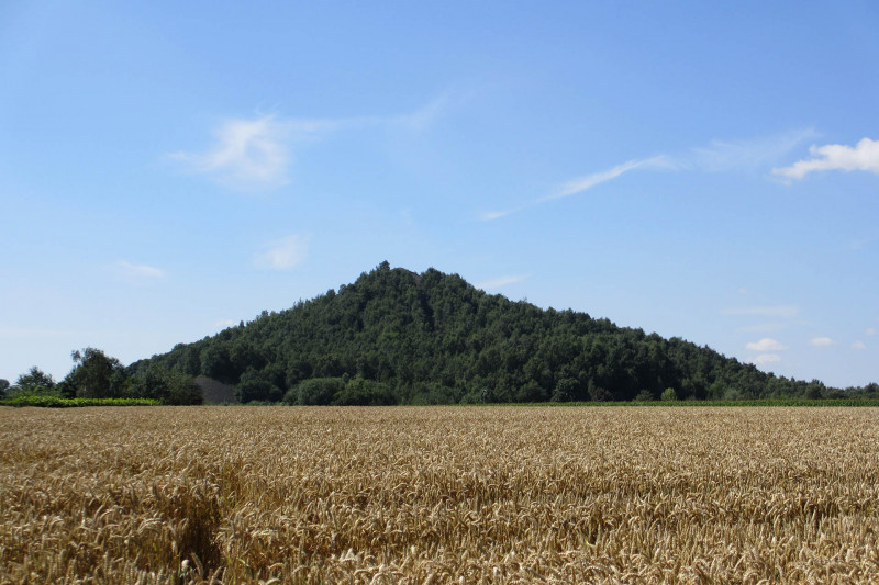 Cycling and hiking tours - Slag heaps and collieries walk - Terril du Hasard - Fléron