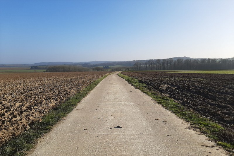 Balades en boucle - Entre Néblon et Condroz - Campagnes condruziennes