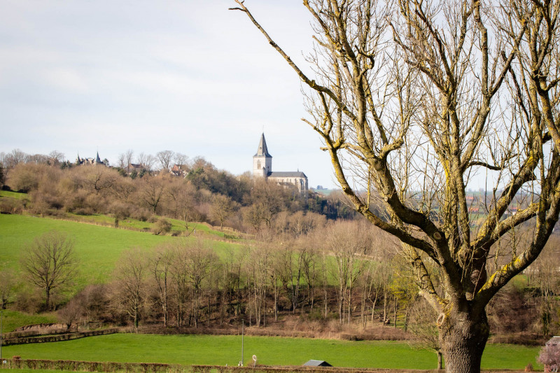 Wandel- en fietstochten - Tussen de Vesder en de Maas - Goé, uitzicht vanuit het arboretum