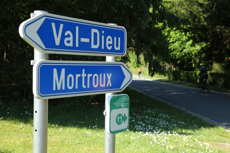 Cycling and hiking tours - Pear tree ride - Fechereux - Dalhem