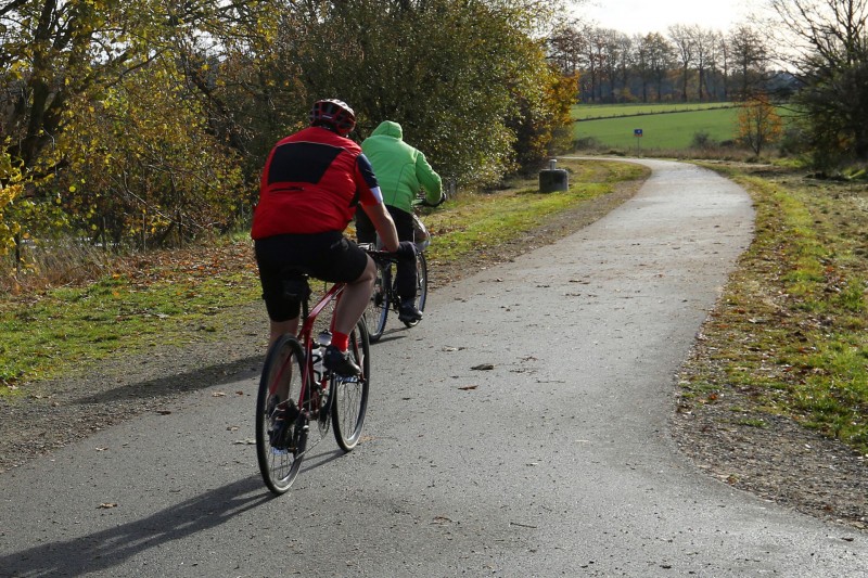 Wandel- en fietstochten - Het bos van Ommerscheider - Weg - Campagnes