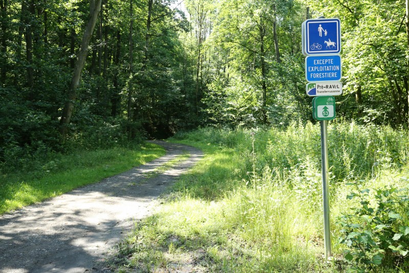 Wandel- en fietstochten - De Transferrusienne