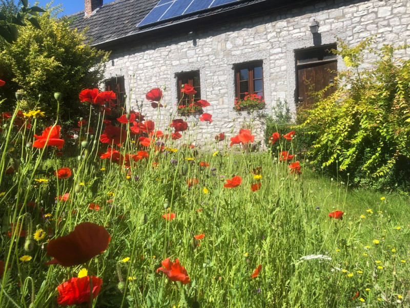 La maison en pierre et les coquelicots - Envoz Zen